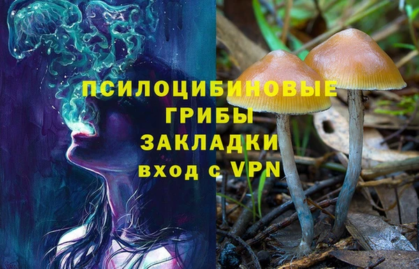 спиды Наволоки