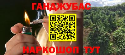 прущие грибы Абакан