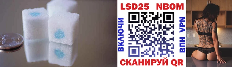 блэк спрут онион  Нарткала  Лсд 25 экстази кислота 